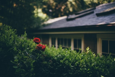نتائج المباريات الدوري الإنجليزي اليومتفاصيل كاملة عن أحدث المواجهات